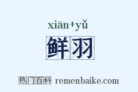 鲜羽是什么意思的图片